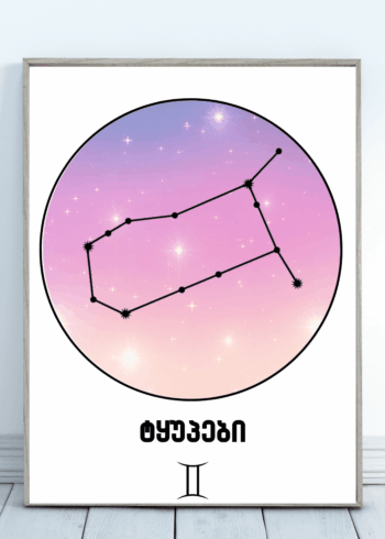 ტყუპები პოსტერი