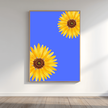 მზესუმზირები