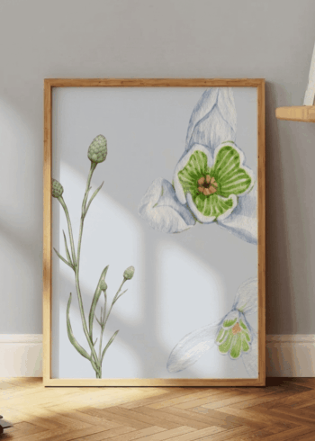 FLOWERS პოსტერი