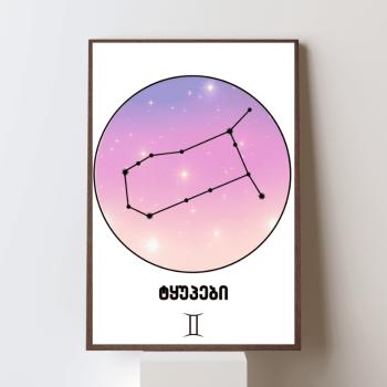 ტყუპები